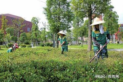 自己报名考园林绿化工程师证主要考哪些内容报名详情